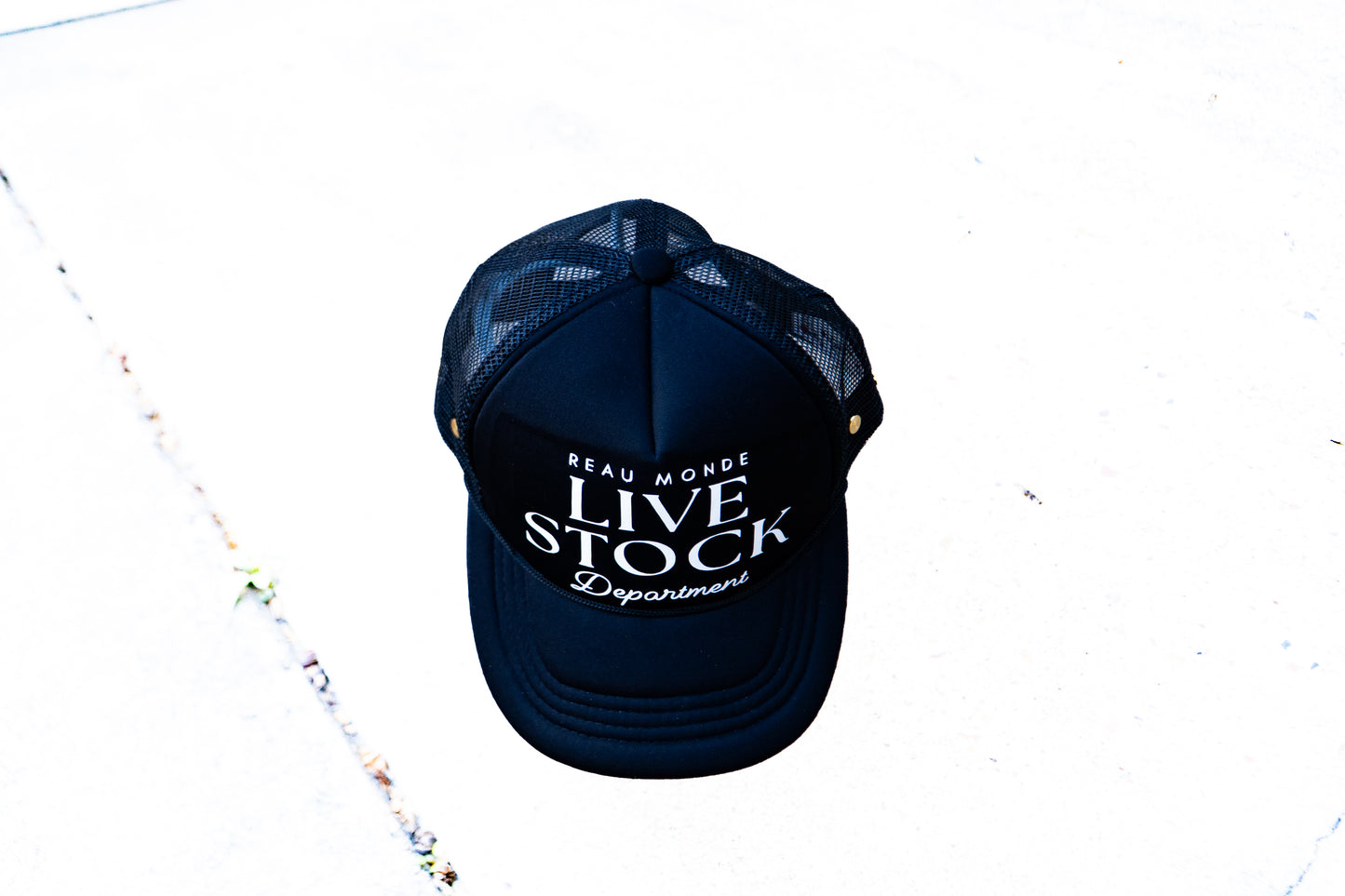 RM Livestock Department Trucker